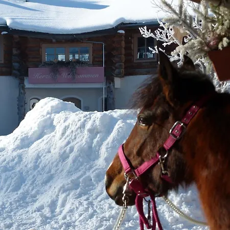 Bed & Breakfast Landgut Edelweiss 4*