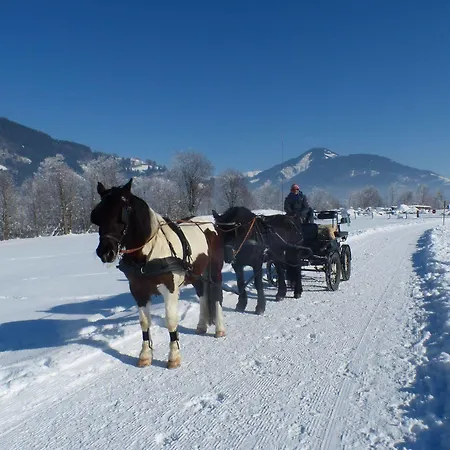 Landgut Edelweiss 4* Kaprun