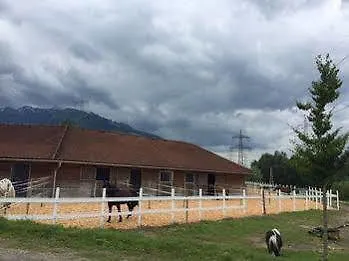 Panzió Landgut Edelweiss Kaprun